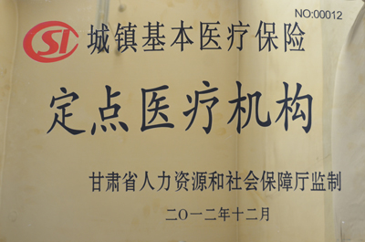 2012城鎮(zhèn)基本醫(yī)療保險(xiǎn)定點(diǎn)醫(yī)療機(jī)構(gòu).jpg